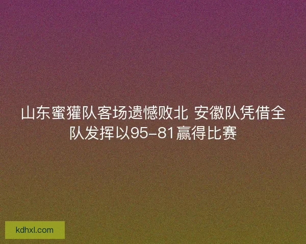 山东蜜獾队客场遗憾败北 安徽队凭借全队发挥以95-81赢得比赛